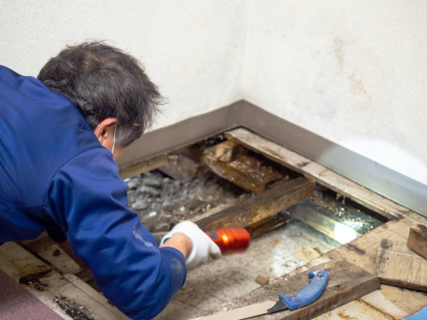 Best Bathroom Mold Remediation in Mcqueeney, TX