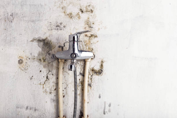Best Post-Flood Mold Remediation in Mcqueeney, TX