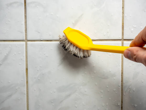 Trusted Mcqueeney, TX Mold Remediation Experts